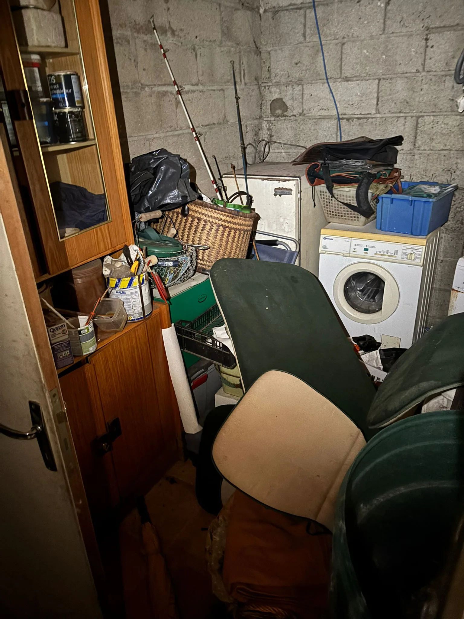 Comment gérer la présence d’animaux (vivants ou morts) dans un logement insalubre à nettoyer : le rôle de SOS DC à Colombes et dans les villes environnantes