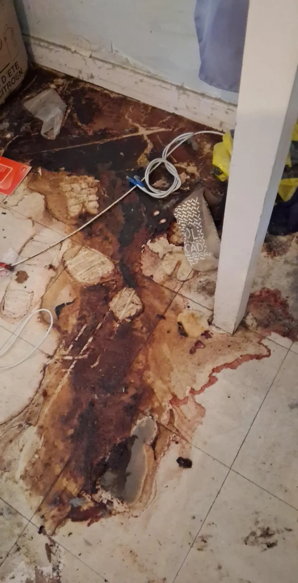 Faut-il vider entièrement un logement Diogène avant de commencer la désinfection ? Le rôle de SOS DC à Colombes et dans les environs Faut-il vider entièrement un logement Diogène avant de commencer la désinfection ? Le rôle de SOS DC à Colombes et dans les environs