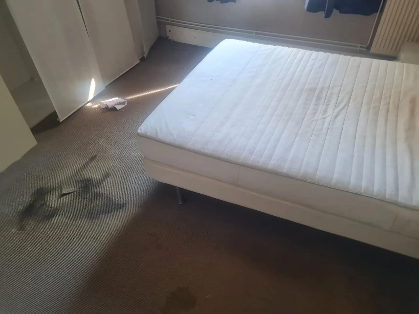 Quelles sont les étapes concrètes d’un nettoyage dans un appartement Diogène de 50 m² à Colombes et dans les villes environnantes Quelles sont les étapes concrètes d’un nettoyage dans un appartement Diogène de 50 m² à Colombes et dans les villes environnantes